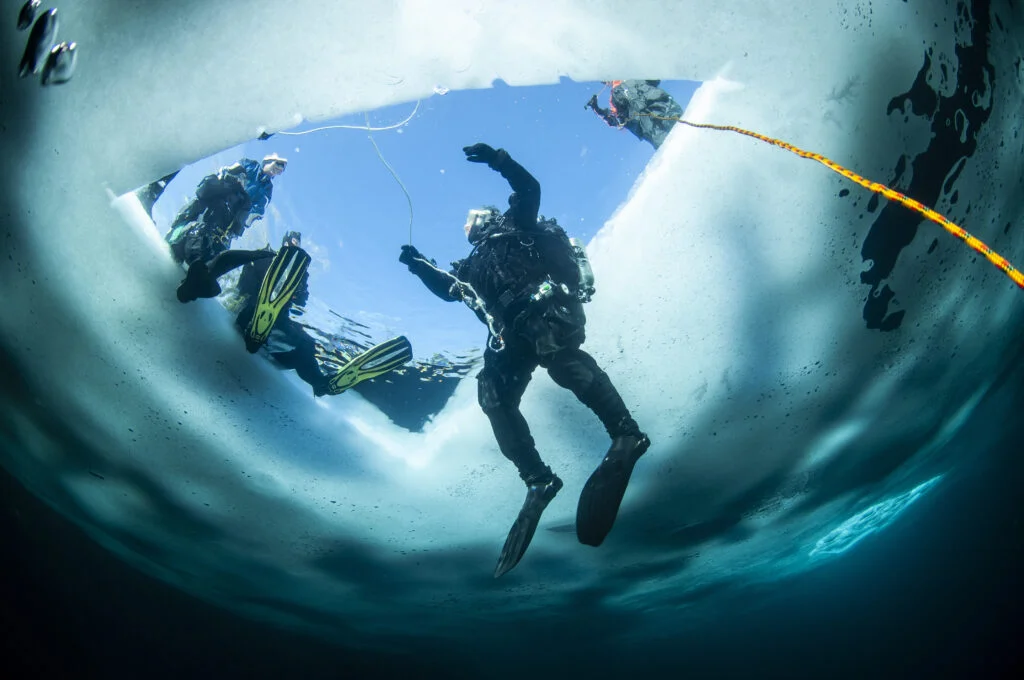 Ice diver swimming underneath a frozen ice shelf with sunlight illuminating the clear sub-zero water