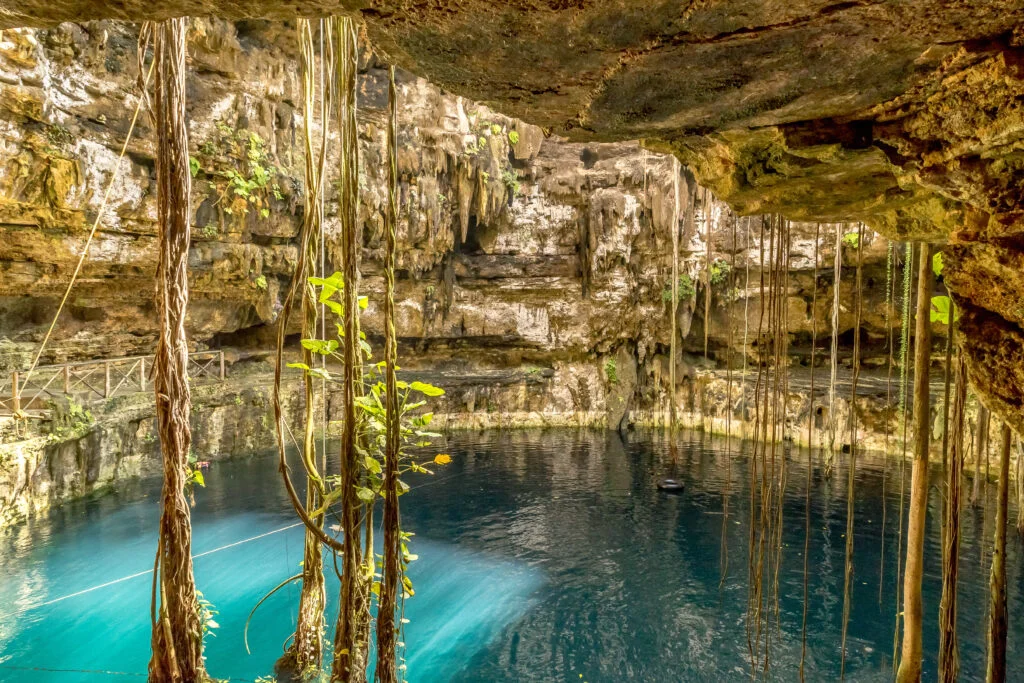 Jardin del Eden freshwater cenote surrounded by lush jungle greenery with crystal-clear turquoise diving water