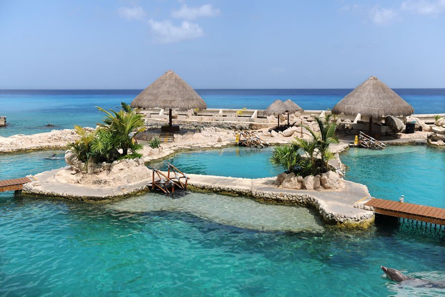 Scuba divers drifting along a deep vertical coral wall reef in Cozumel, Mexico