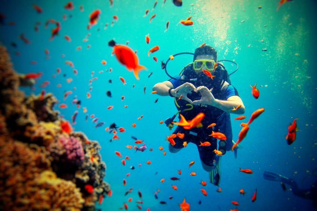Scuba diver exploring vibrant healthy coral formations and tropical reef fish in warm clear water