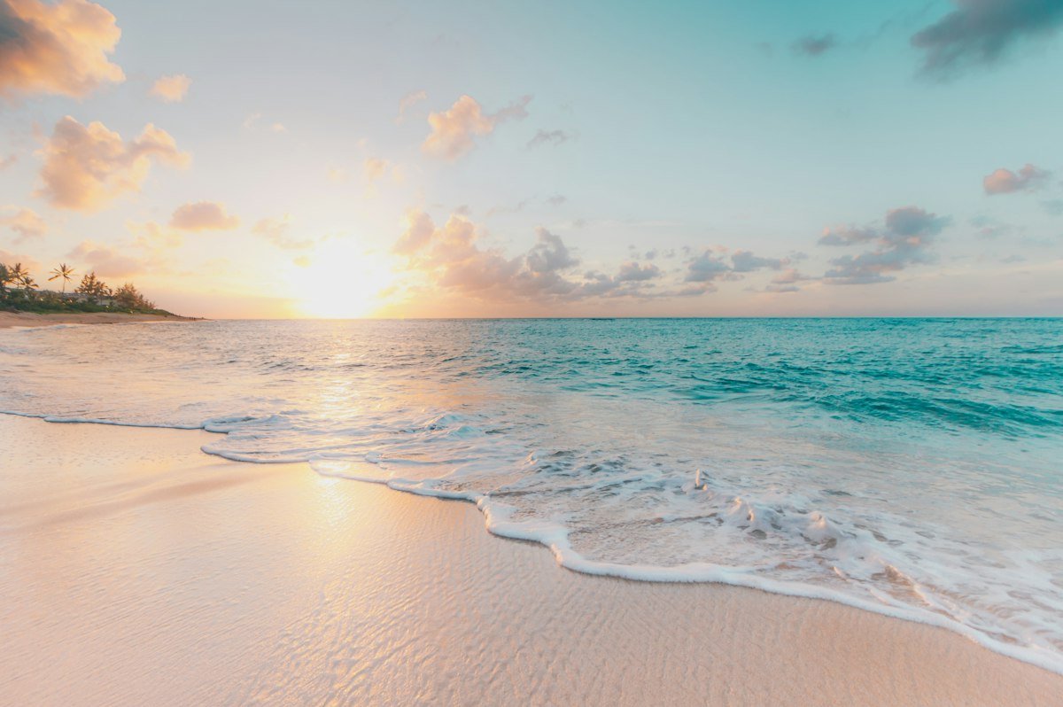 Scenic Atlantic coastline and sand dunes along the North Carolina Outer Banks