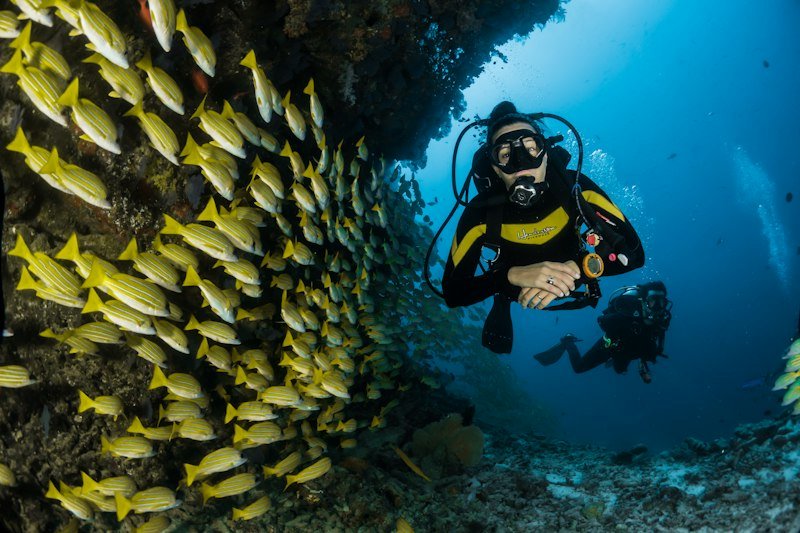 PADI professional scuba dive instructor supervising scuba students during open water training